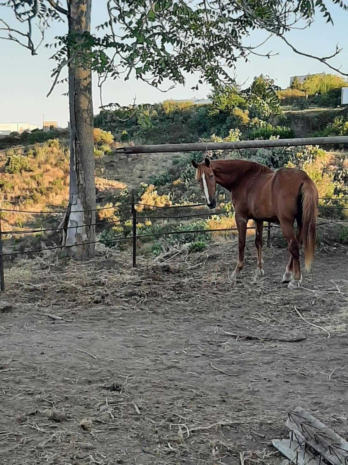 Agriturismo U Zu Peppino Lipari  Bagian luar foto