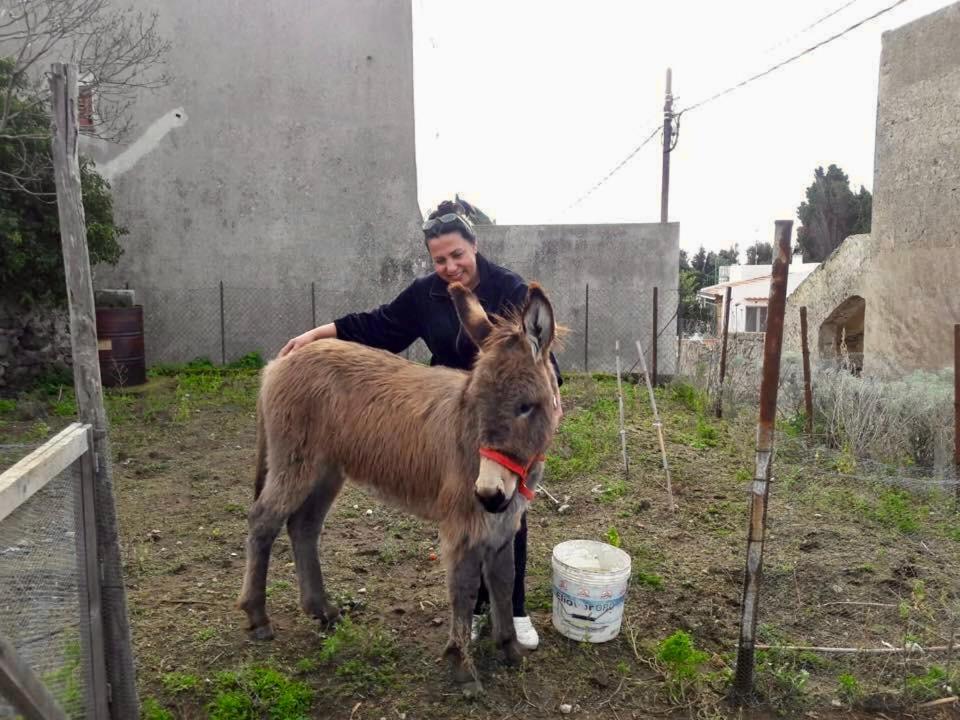 Agriturismo U Zu Peppino Lipari  Bagian luar foto